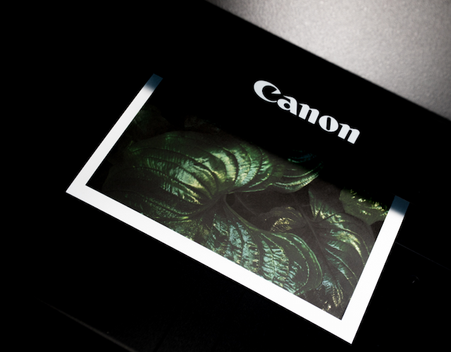 Что такое картридж для принтера. Основные виды картриджей